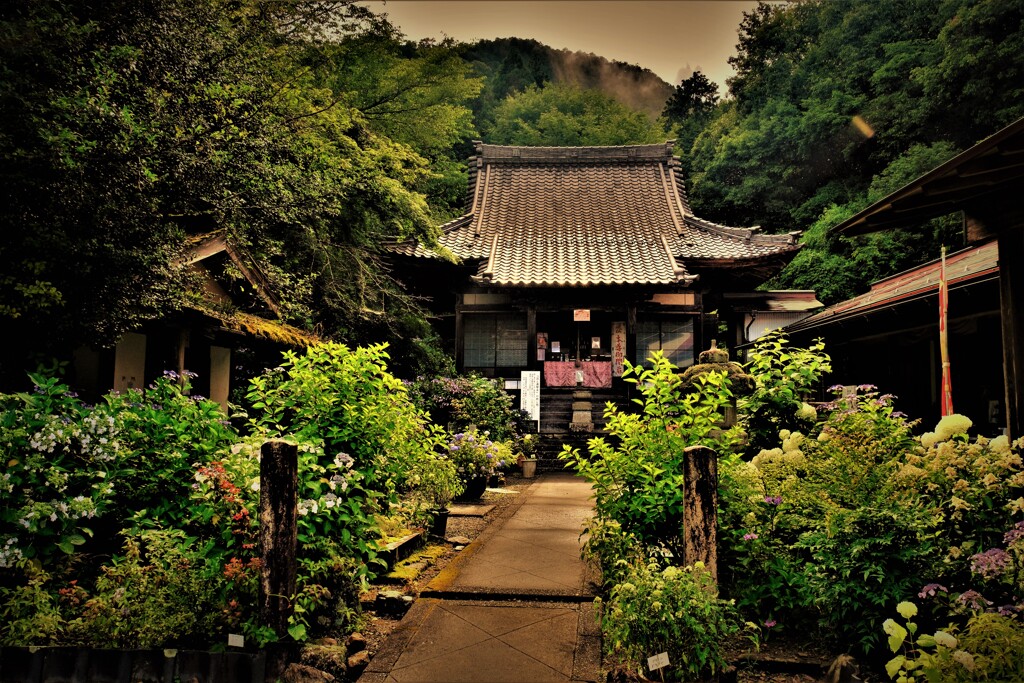 あじさいの山寺・三光寺　２