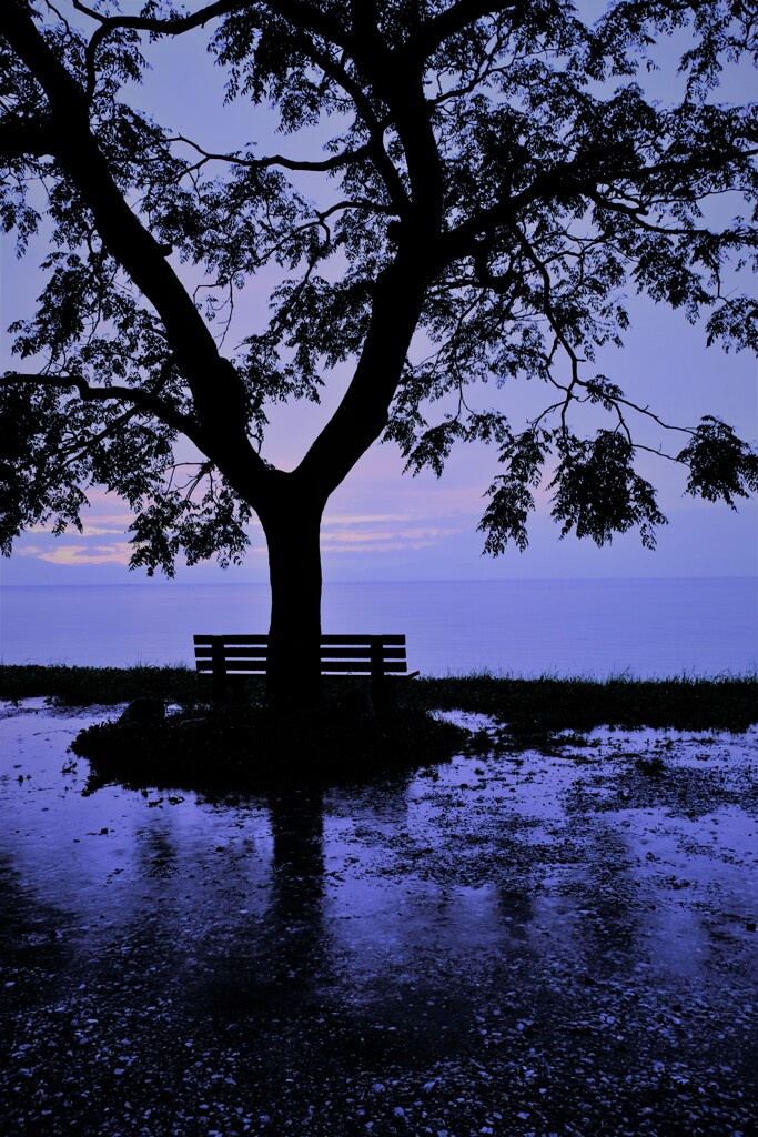 夕雨の「あのベンチ」