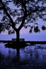 夕雨の「あのベンチ」