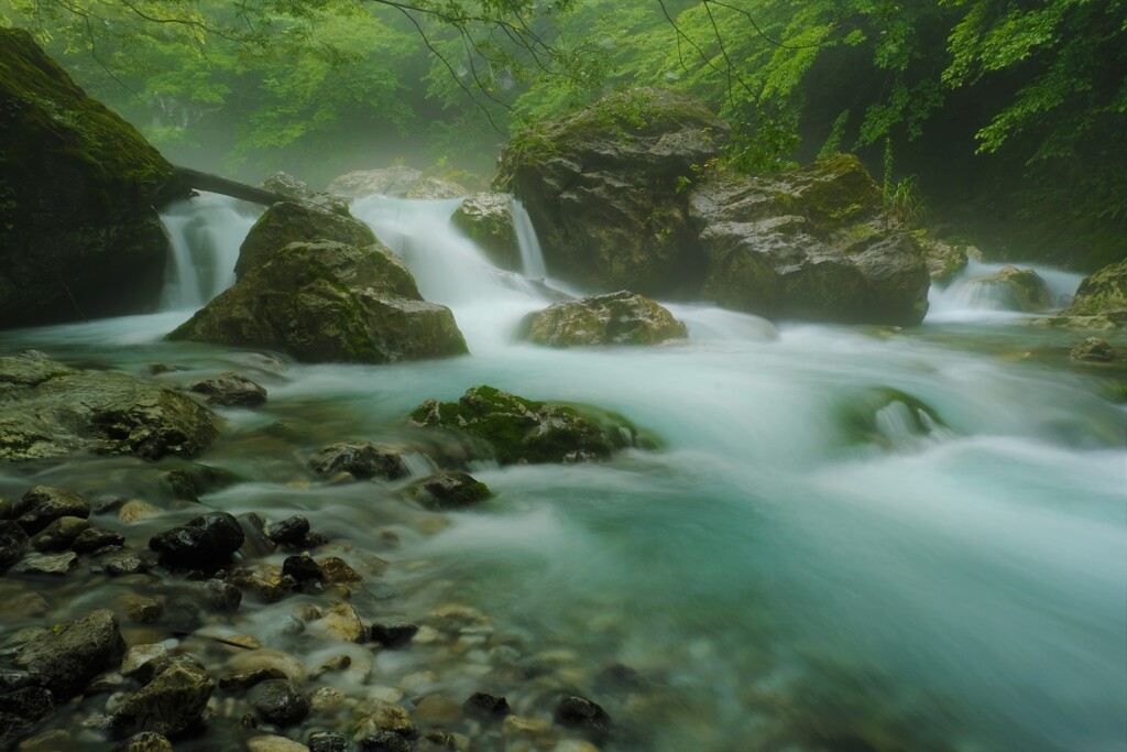 清流の渓谷