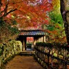 誘う秋景道