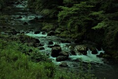 芹川渓流　１