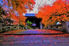 師走紅葉の長浜舎那院　Ⅱ