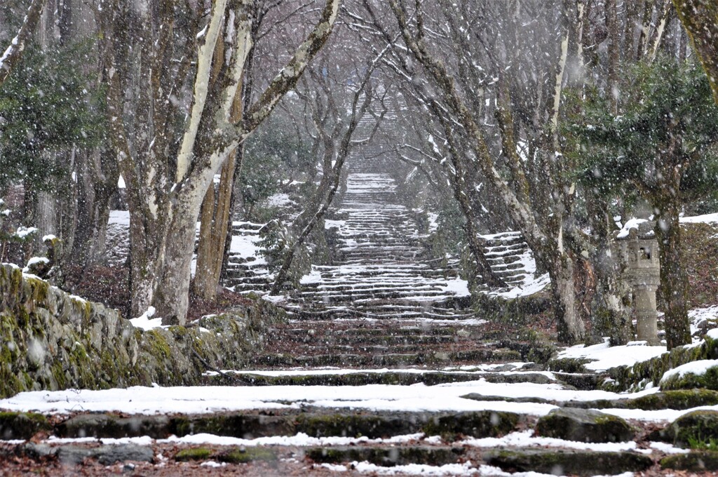 鶏足寺　雪景　３