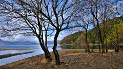 奥琵琶湖の湖辺　Ⅰ