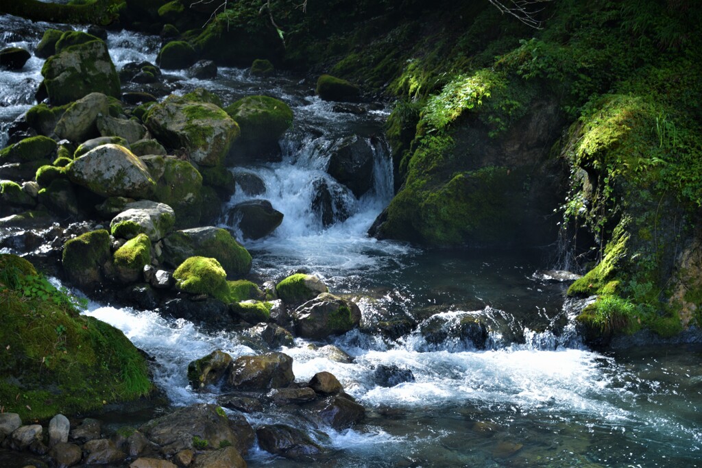 渓流の水音