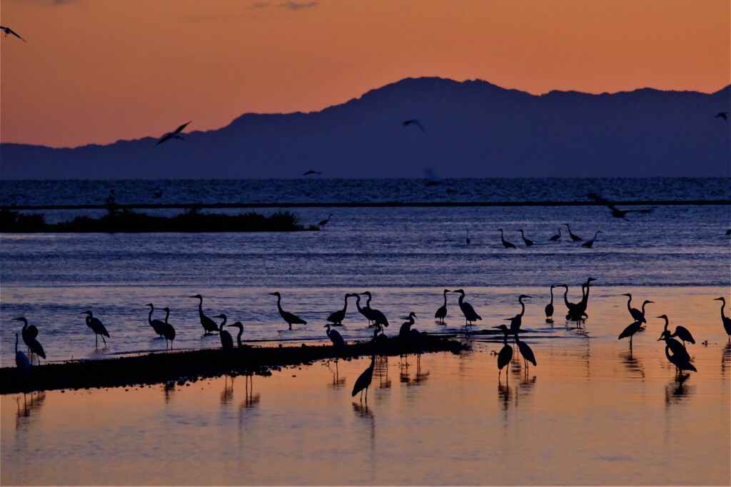 夕照に佇む