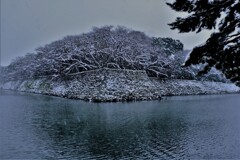 彦根城濠端雪景色　５