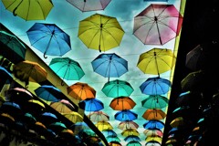 梅雨空の花傘