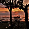 見つめる夕景