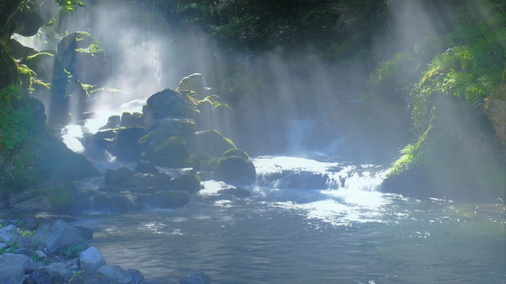 芹川光芒