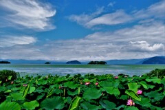 湖北夏景