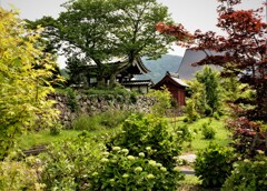 水無月の全長寺山門