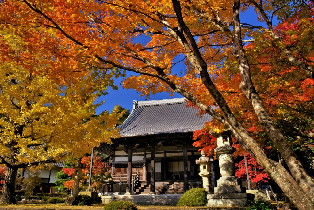 東光寺紅葉　６