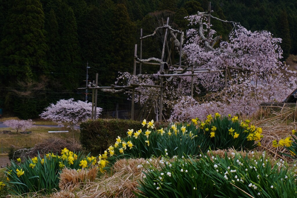 深堂の郷