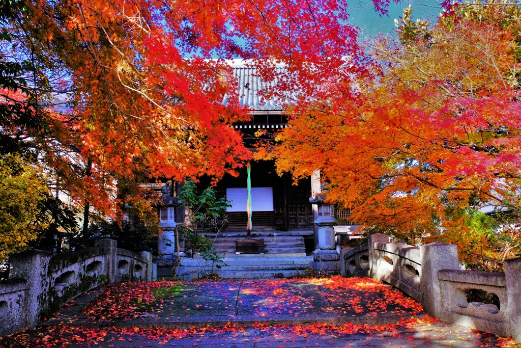 師走紅葉の長浜舎那院　Ⅸ