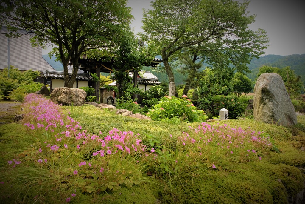 梅雨間の全長寺山門