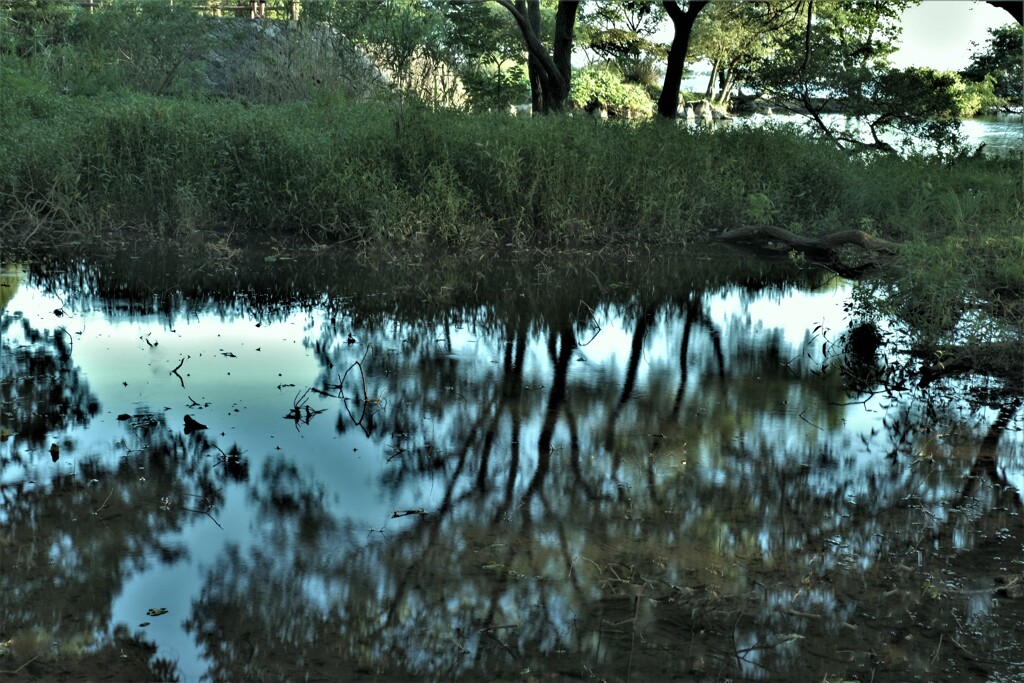 写影　１