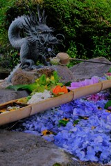 矢川神社の花手水　Ⅳ