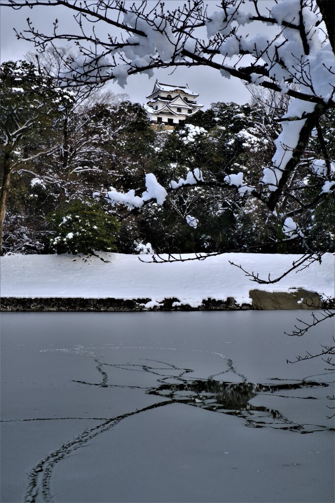 彦根城濠端天守閣雪景色