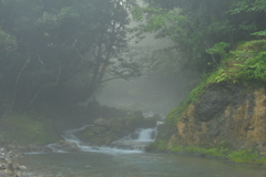 River fog