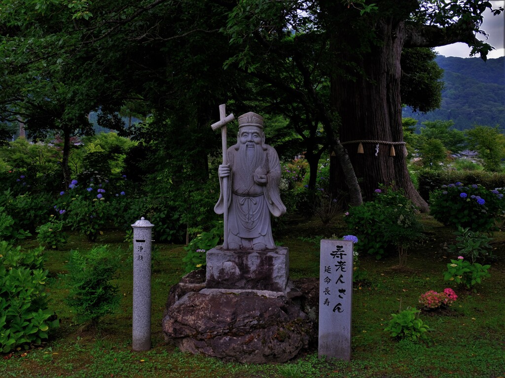 余呉の全長寺　９