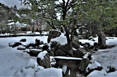 雪景の足利庭園　２