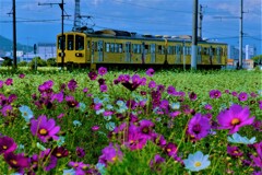 ガチャコン秋景　Ⅱ