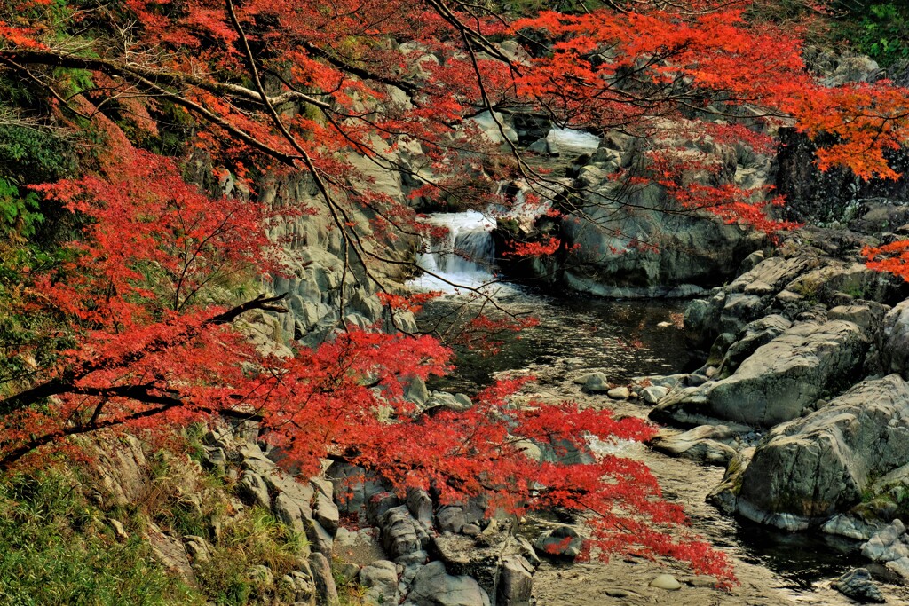 紅葉の大蛇ヶ淵