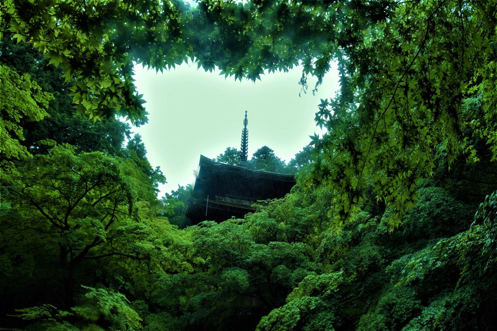 梅雨間の金剛輪寺　５