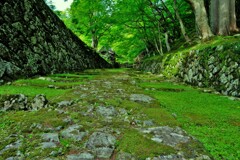 百済寺新緑参道　Ⅰ