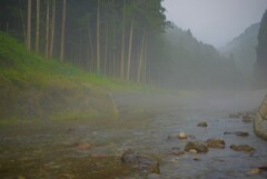 山間の川霧