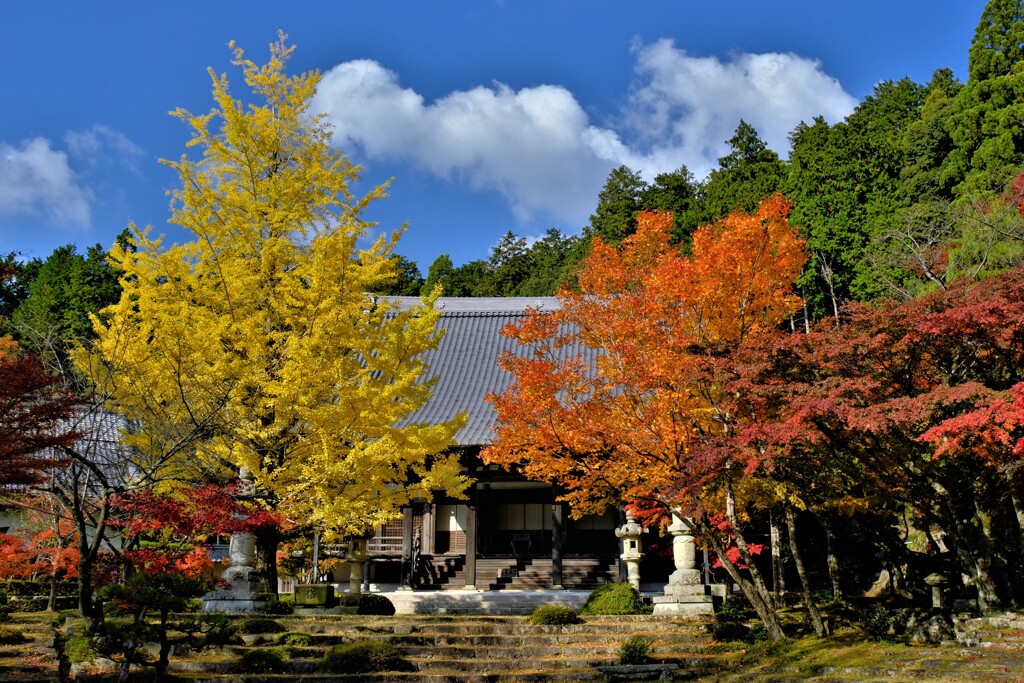 東光寺紅葉　７