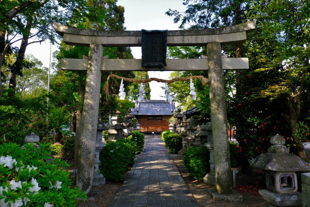 彦根松原・春日神社　１
