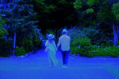 夢の中へ