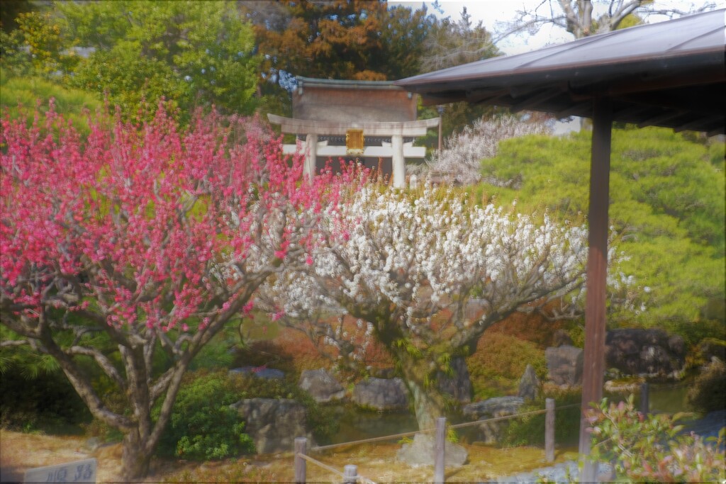 城南離宮の庭　５