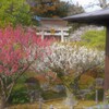 城南離宮の庭　５