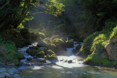 渓流芹川　6