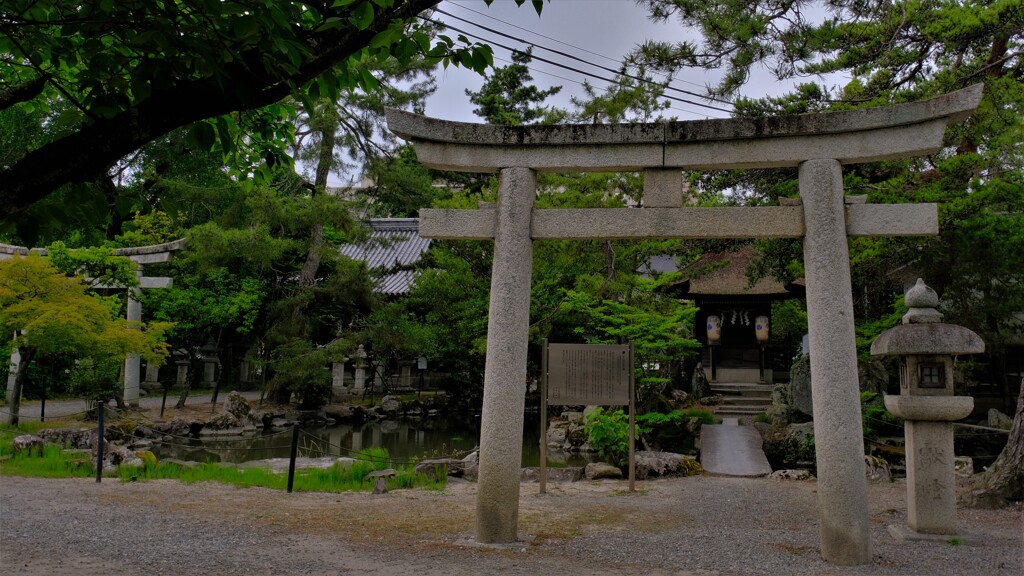 水無月の長浜八幡宮　４