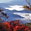 針畑越え鯖街道根来坂　２