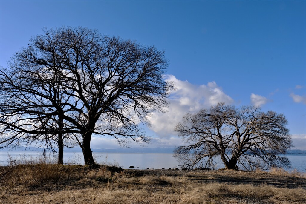 題名のない風景　Ⅰ