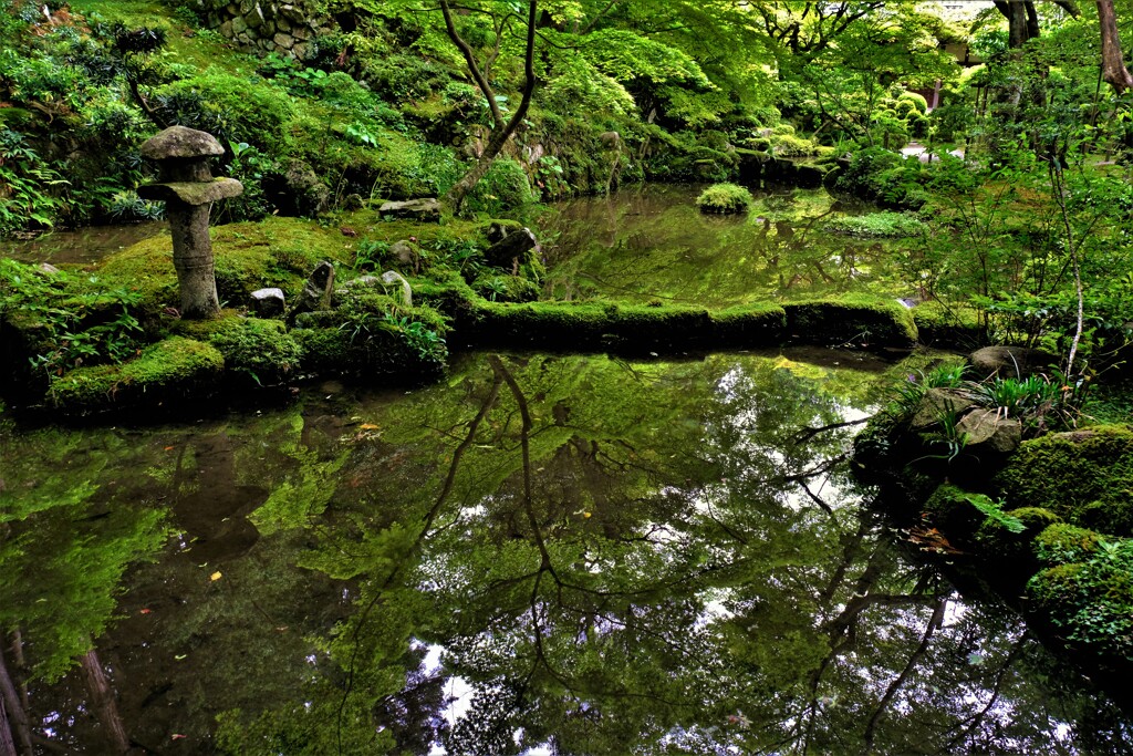 新緑の湖東三山金剛輪寺　15