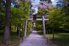 井伊神社　１