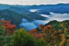 小入谷峠の朝景雲海　１１