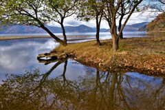 奥琵琶湖の湖辺　Ⅱ