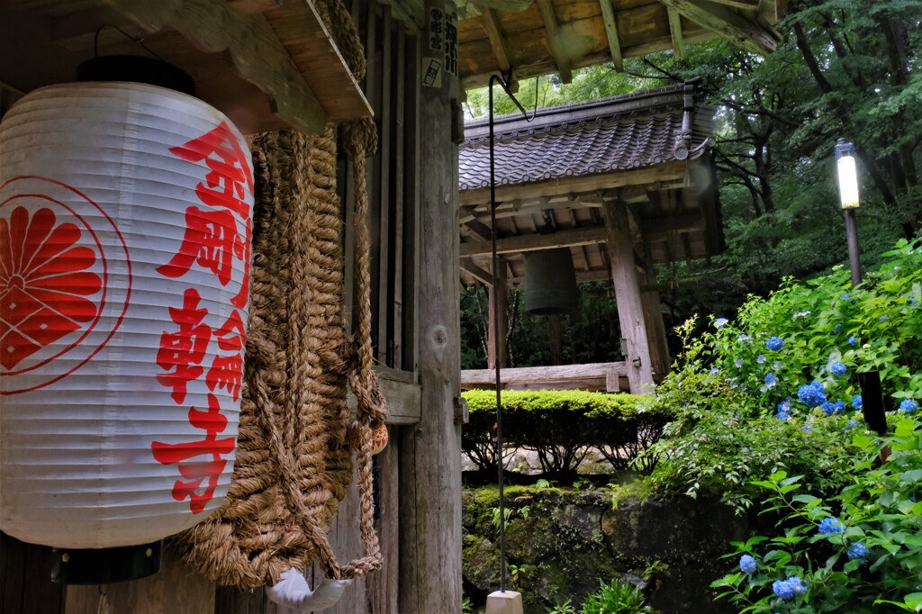 梅雨間の金剛輪寺　7