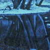 小さな森の水辺の冬物語　４