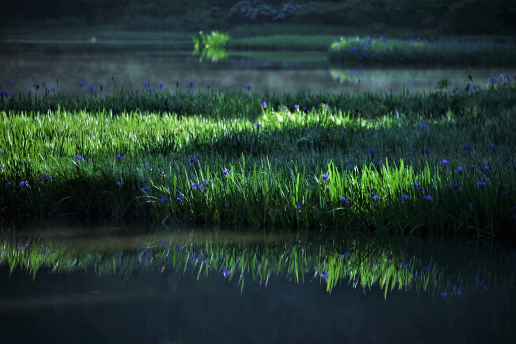 水辺の魔術　６