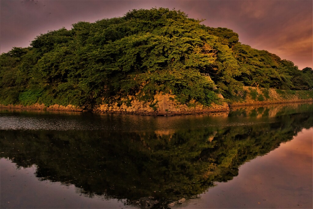 彦根城濠端夕暮れ　４