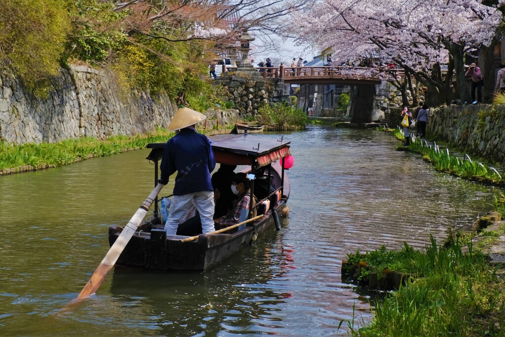 春の八幡堀散策　５